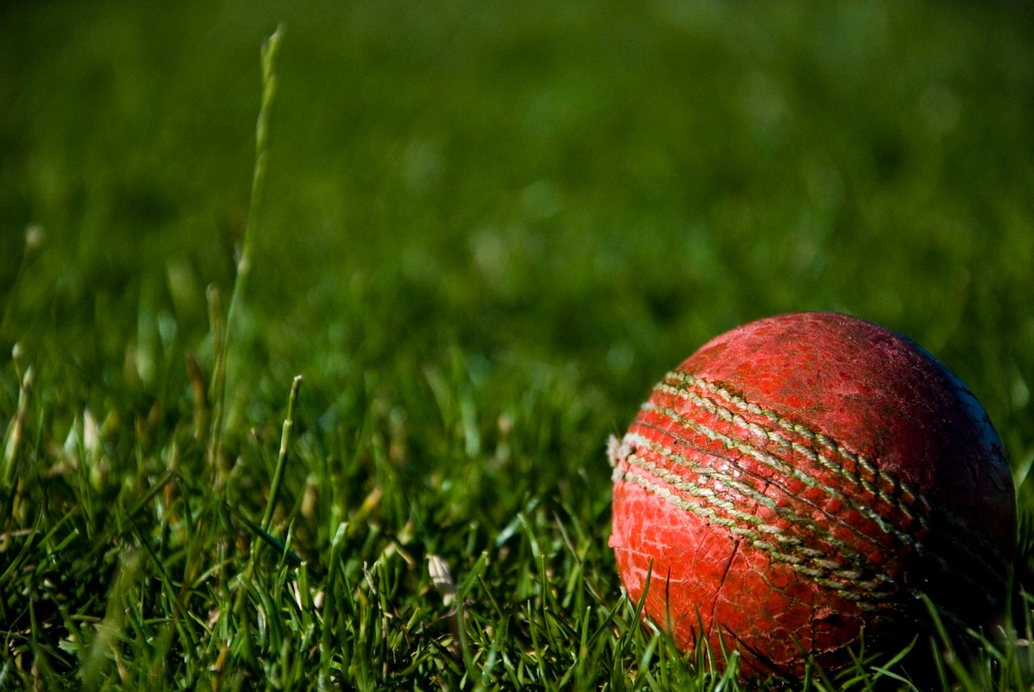 T20 Cricket: A Favorite Format for Bettors